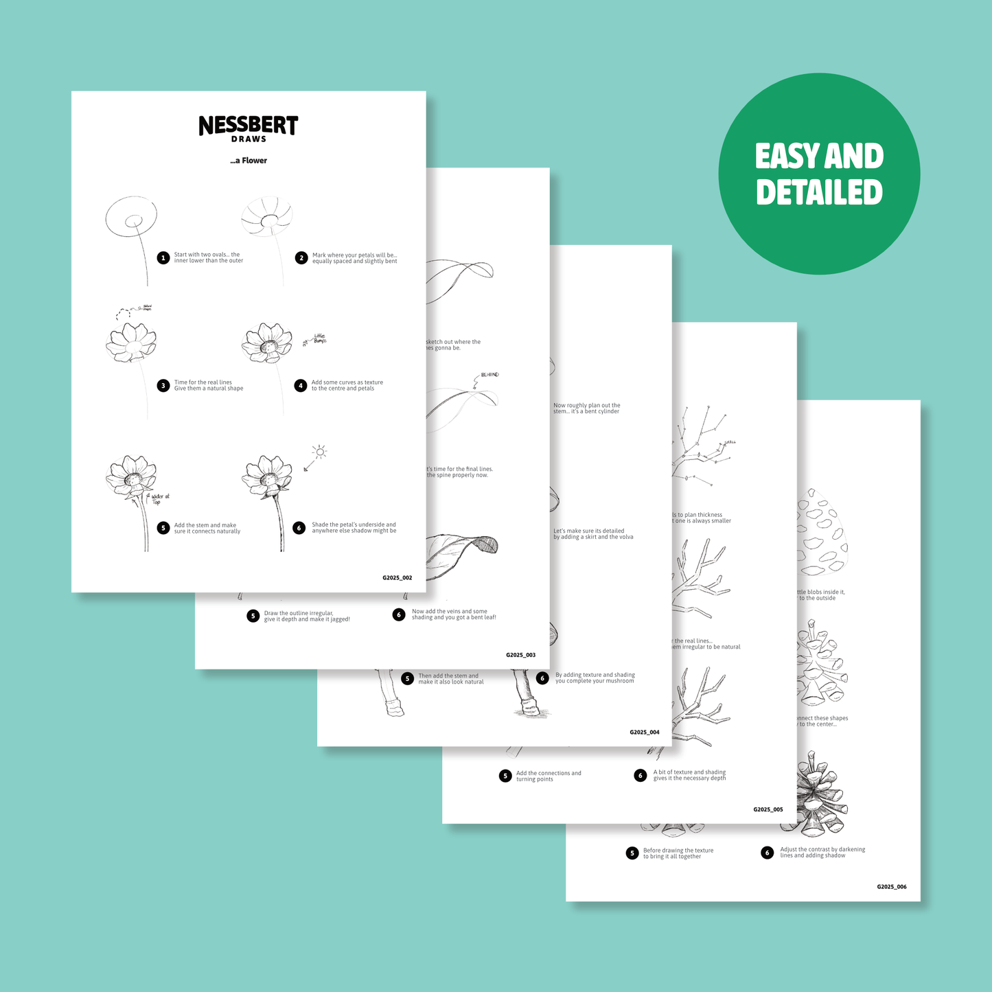 Drawing Guide Bundle - Nature Essentials (Digital Download)