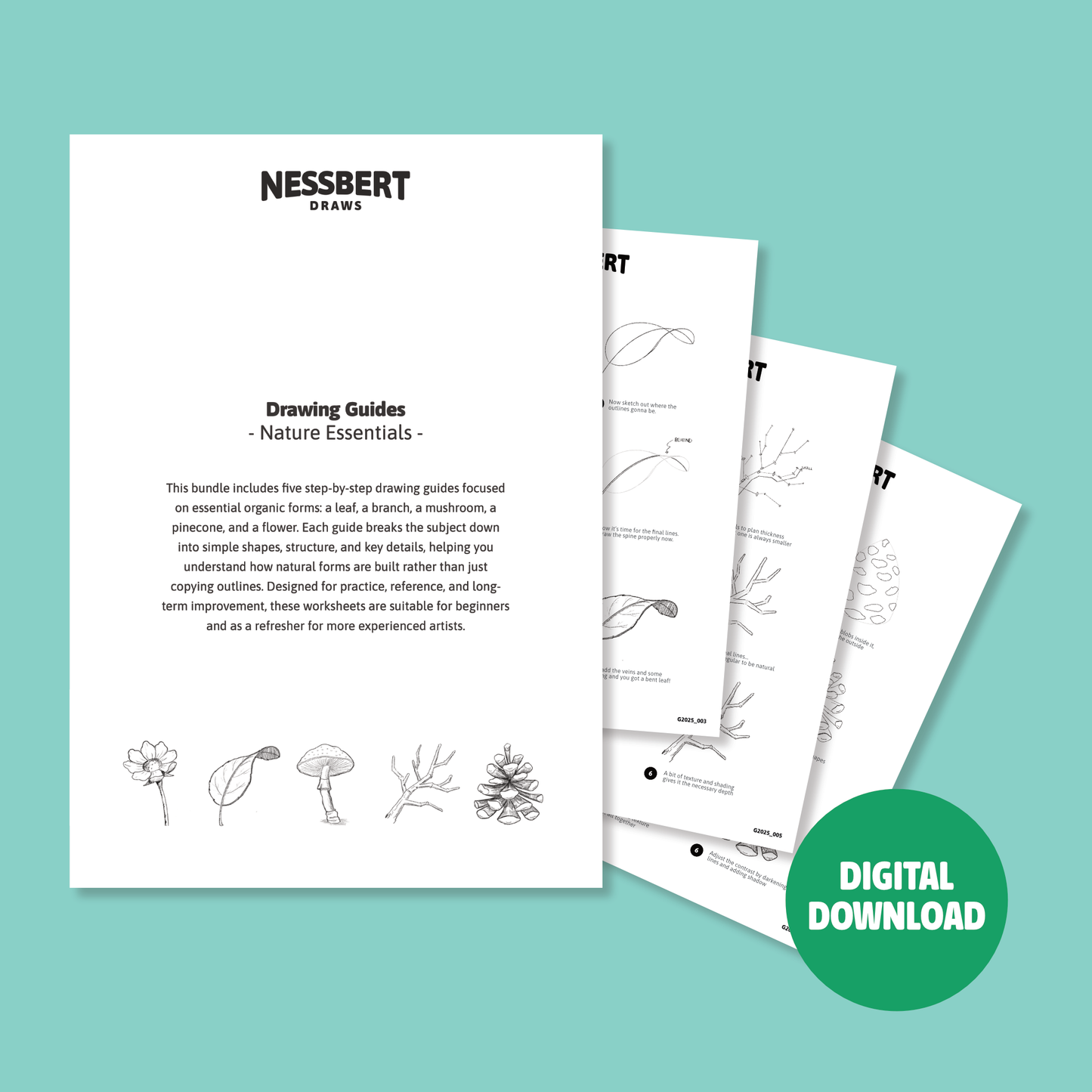 Drawing Guide Bundle - Nature Essentials (Digital Download)