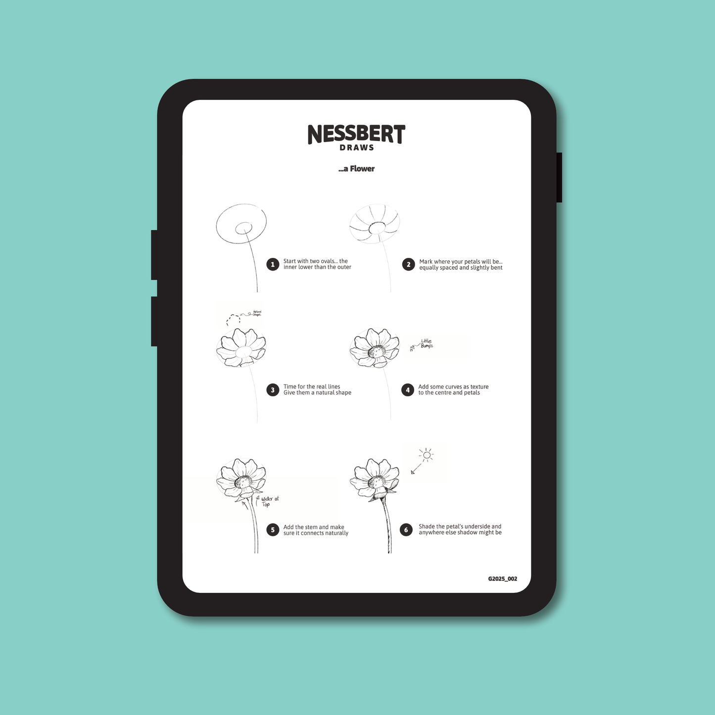 Drawing Guide Bundle - Nature Essentials (Digital Download)